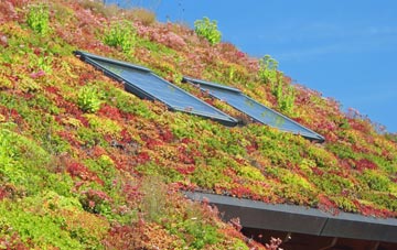 Grimsthorpe living roof systems